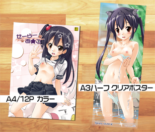 sc61_1.png 312×267 184K sc61_1.png 312×267 184K